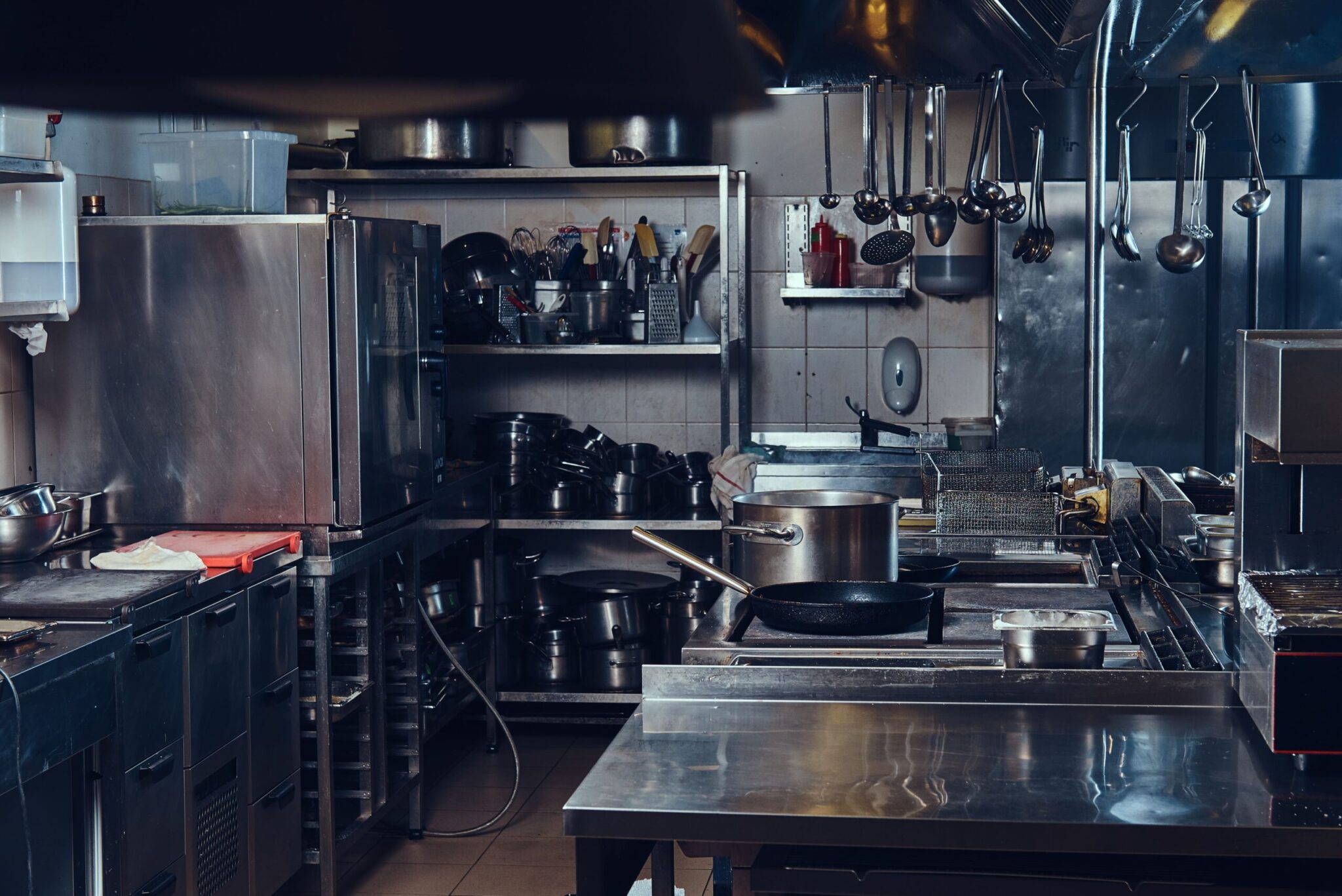 Professional stainless steel kitchen