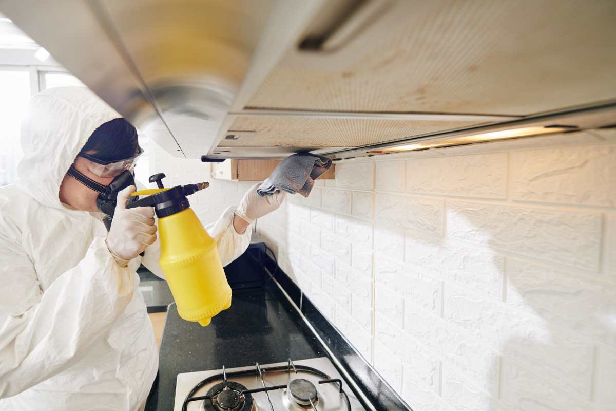 sanitising and disinfecting commercial kitchen